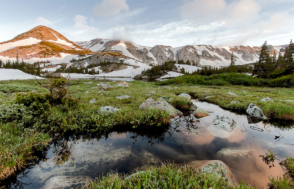 An Image of Meadows in the Snowy Range Mountains in Wyoming