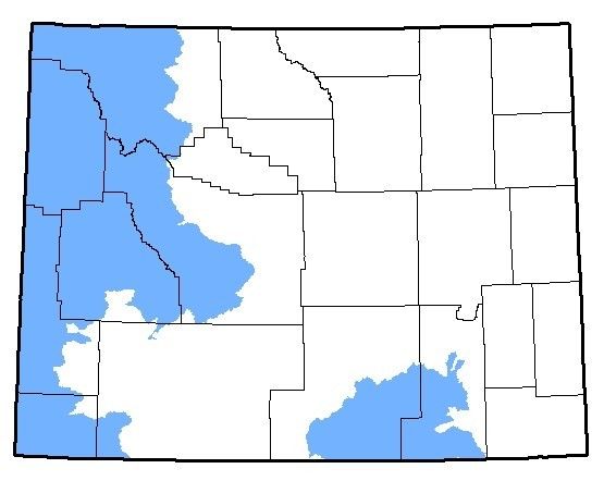 Map of the native range of the Boreal Toad in Wyoming